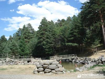 Entre el Puerto y Chorro de Navafría;ruta de senderismo madrid rutas senderismo en madrid